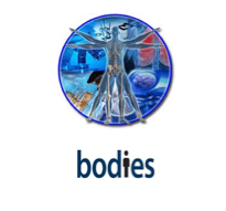 Bodies