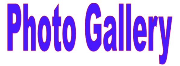 photo gallery