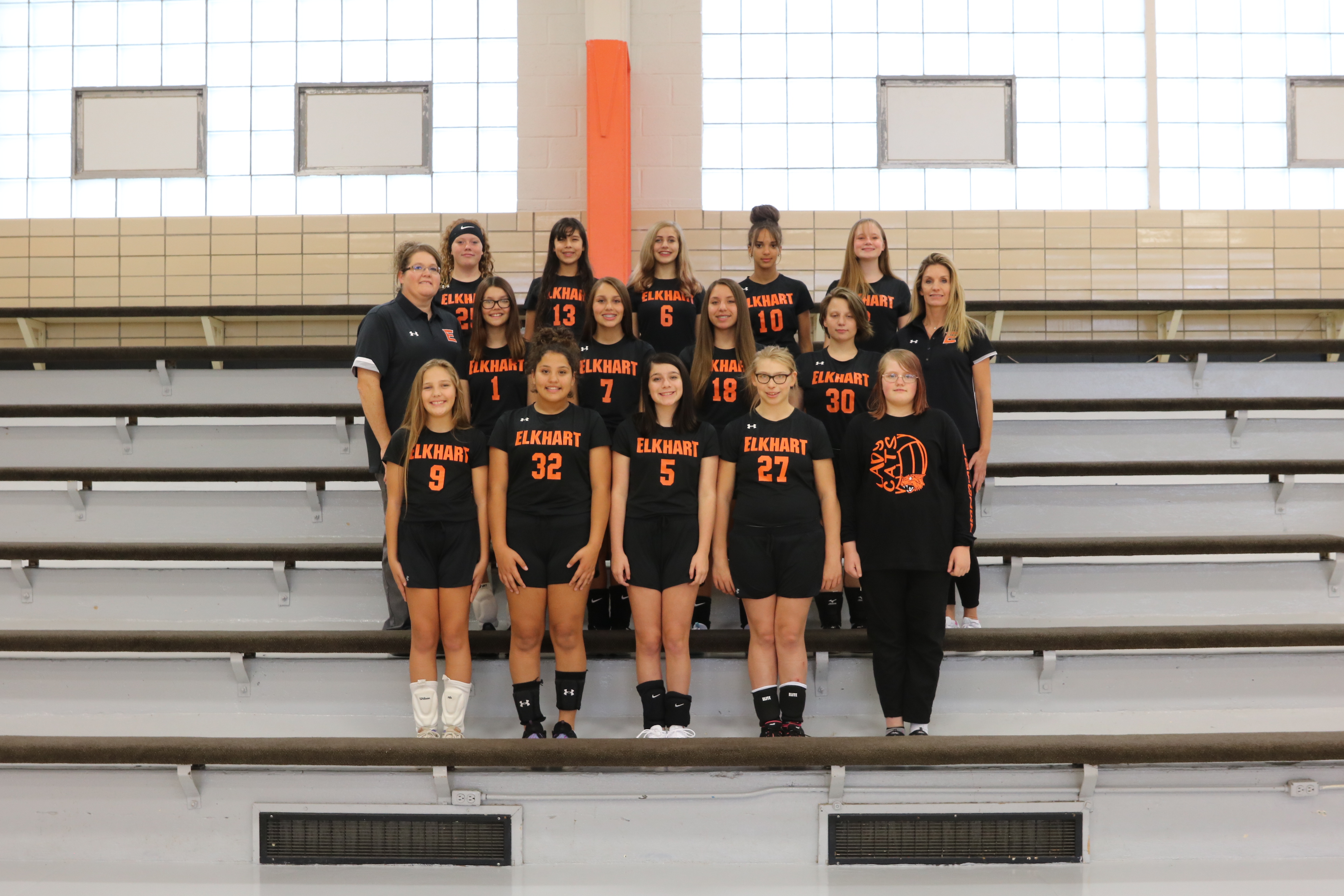 team emsvb2020