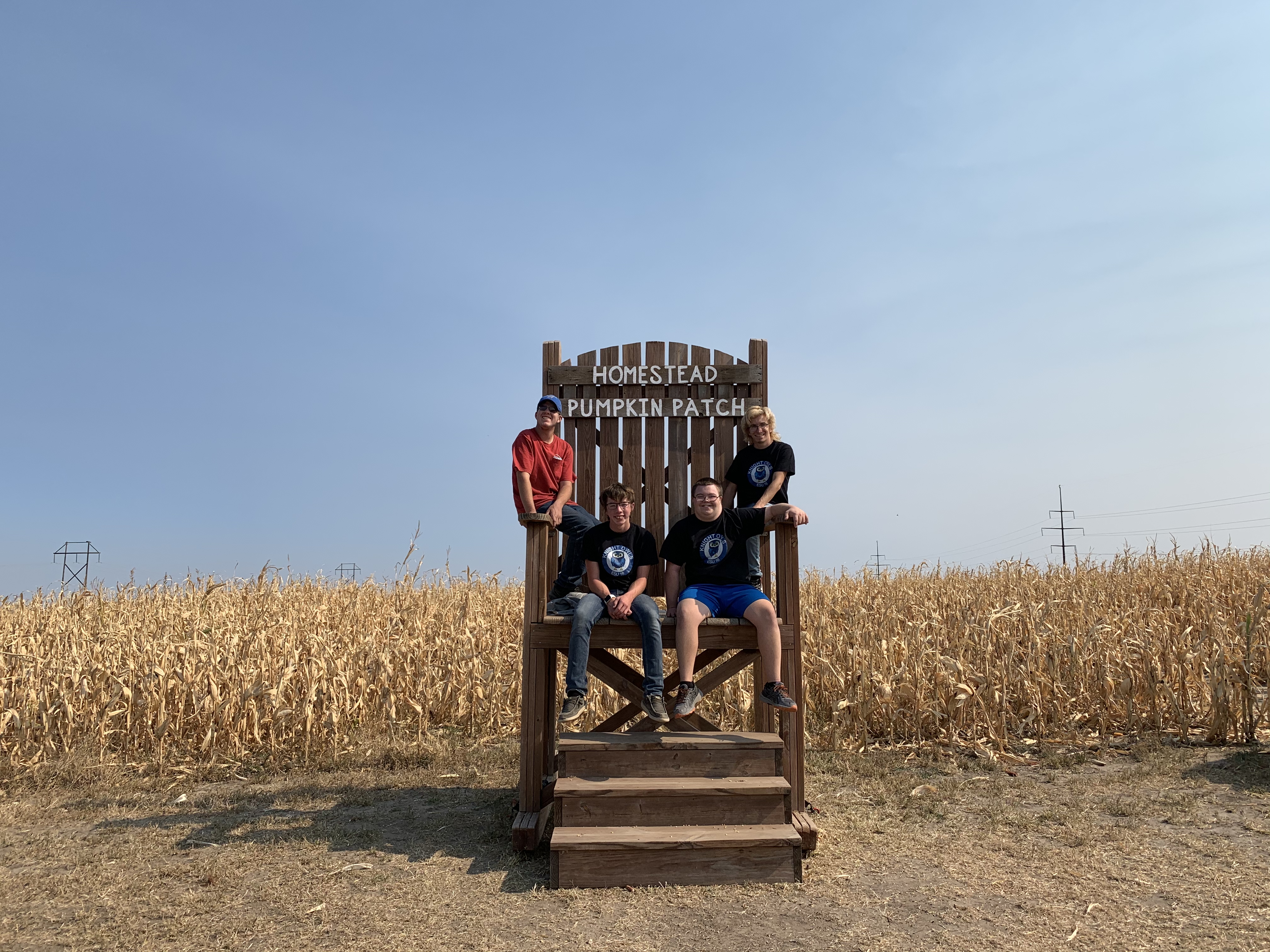 Homestead Pumpkin patch