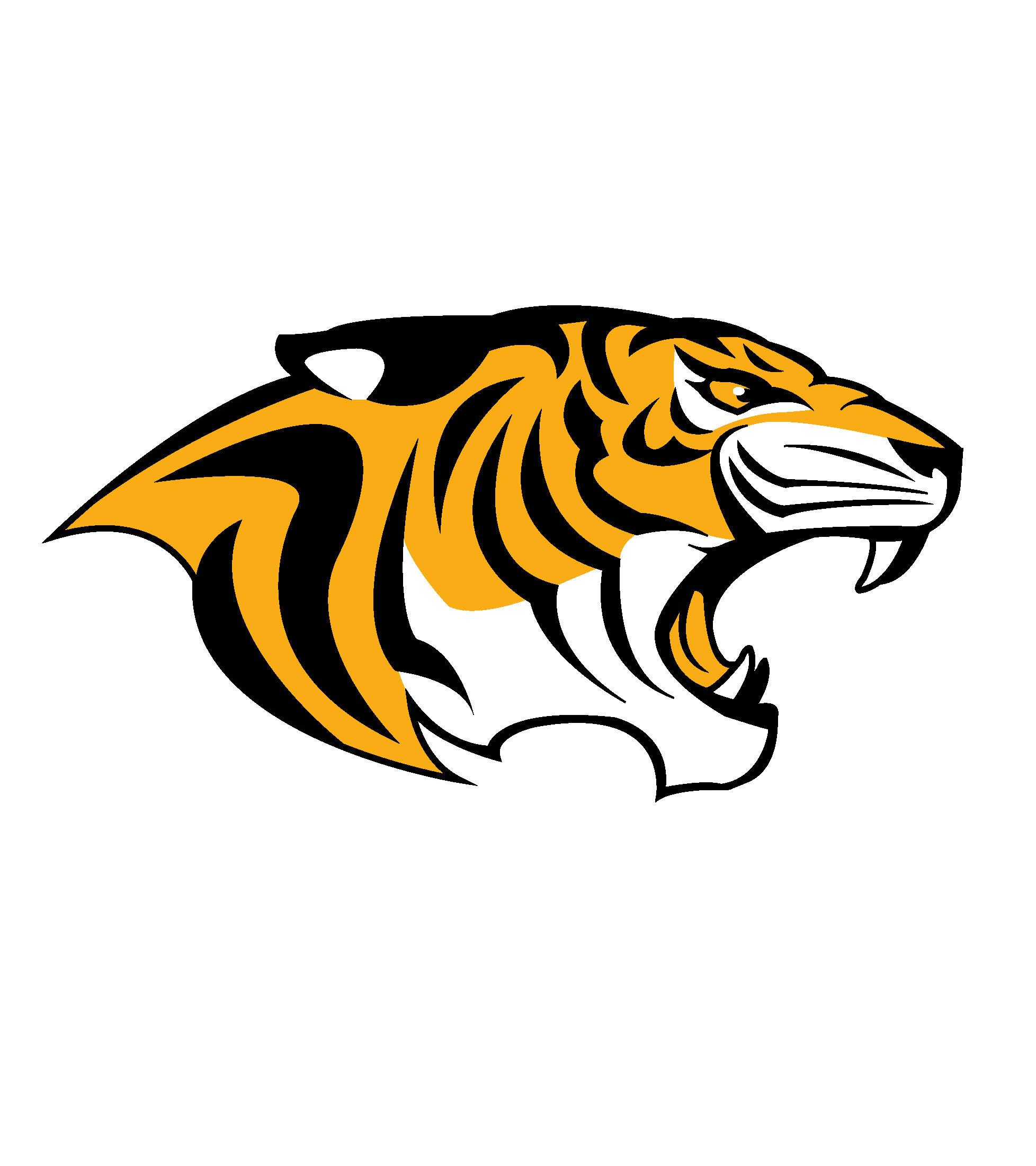 Tiger head