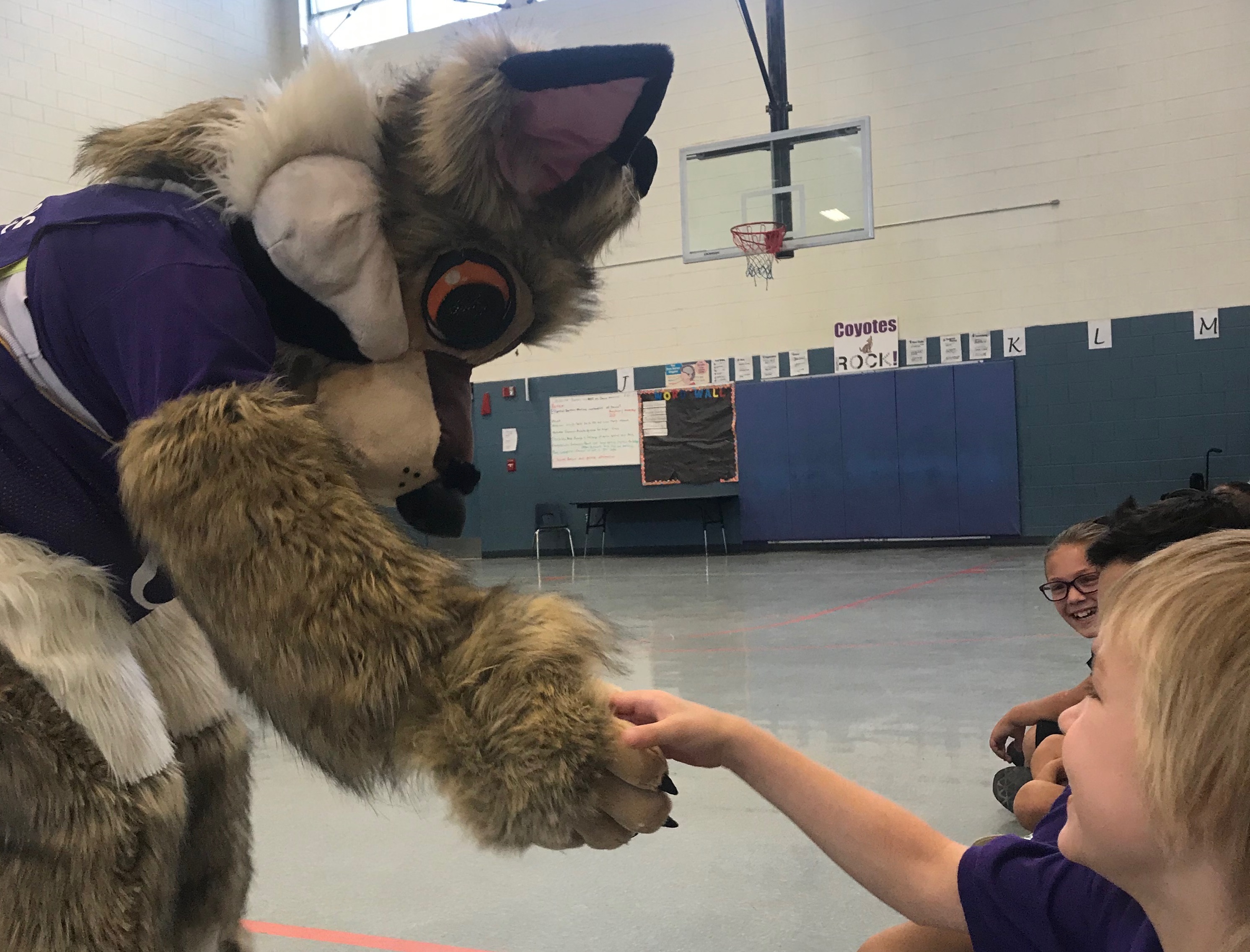 CMES Mascot