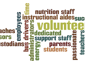volunteer
