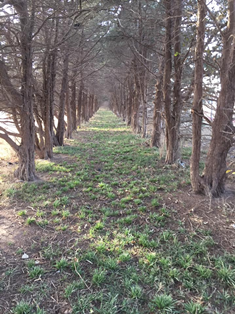 LHS Course - Hole 14