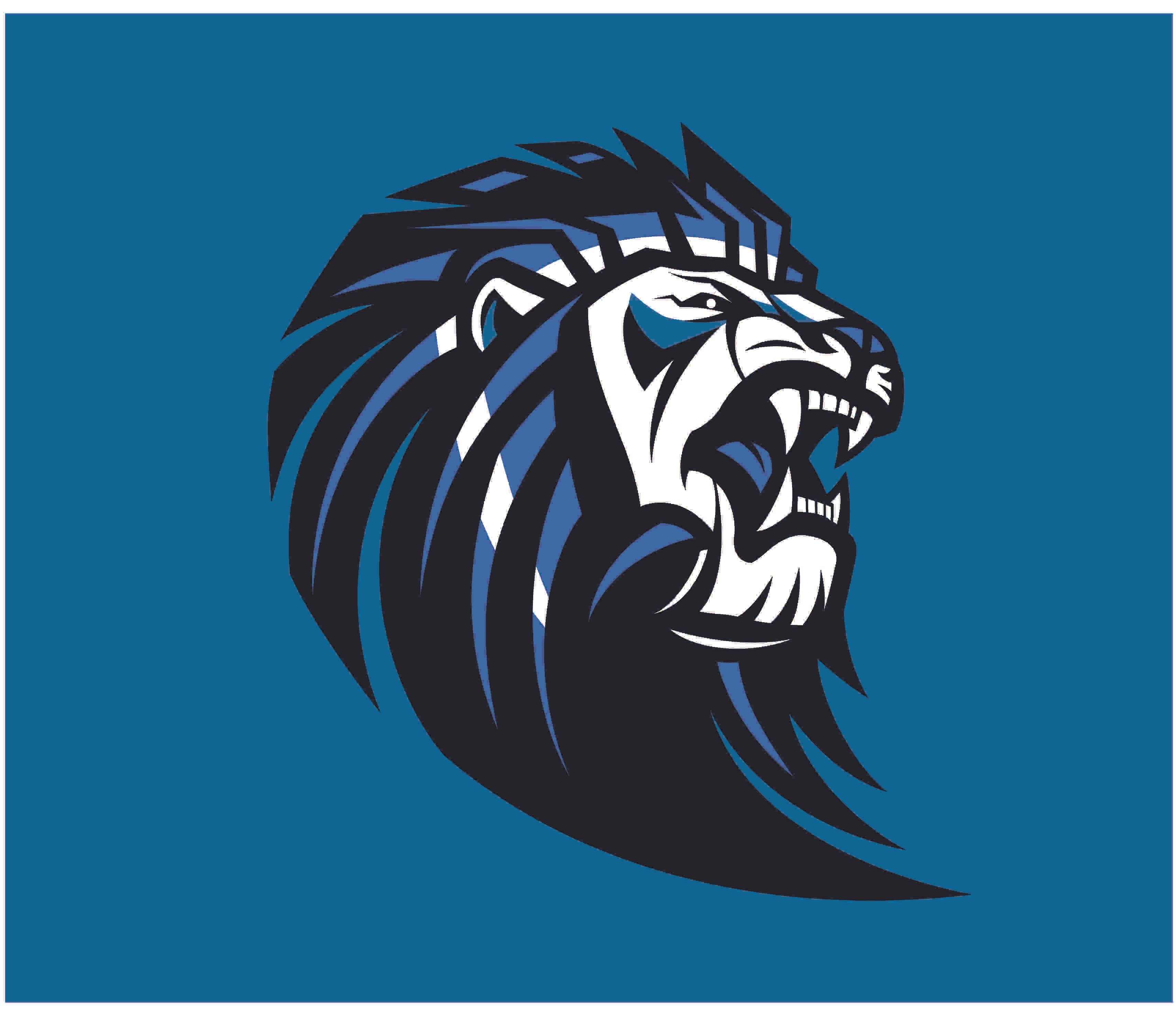 Different variations of the school's logo
