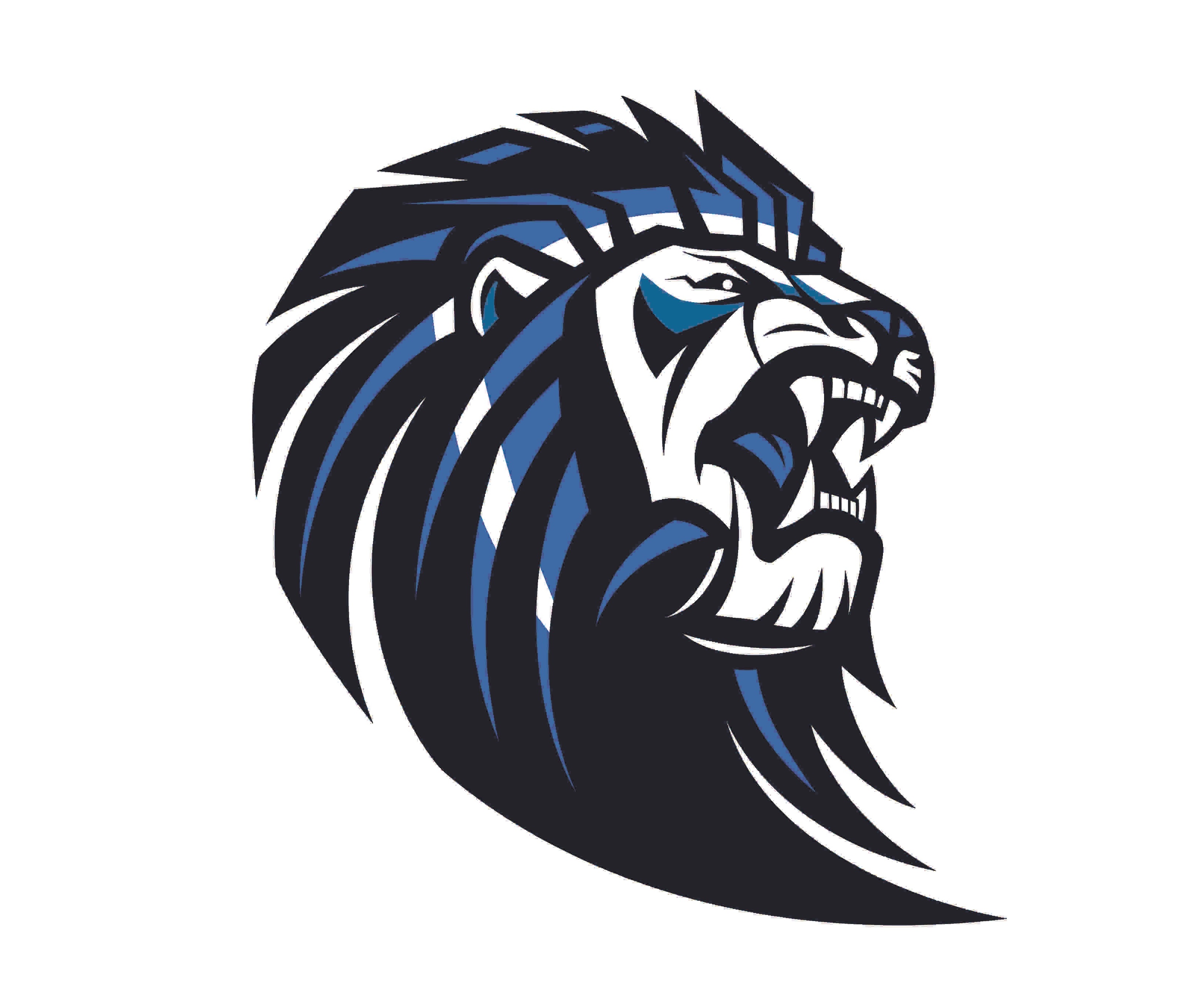 Different variations of the school's logo