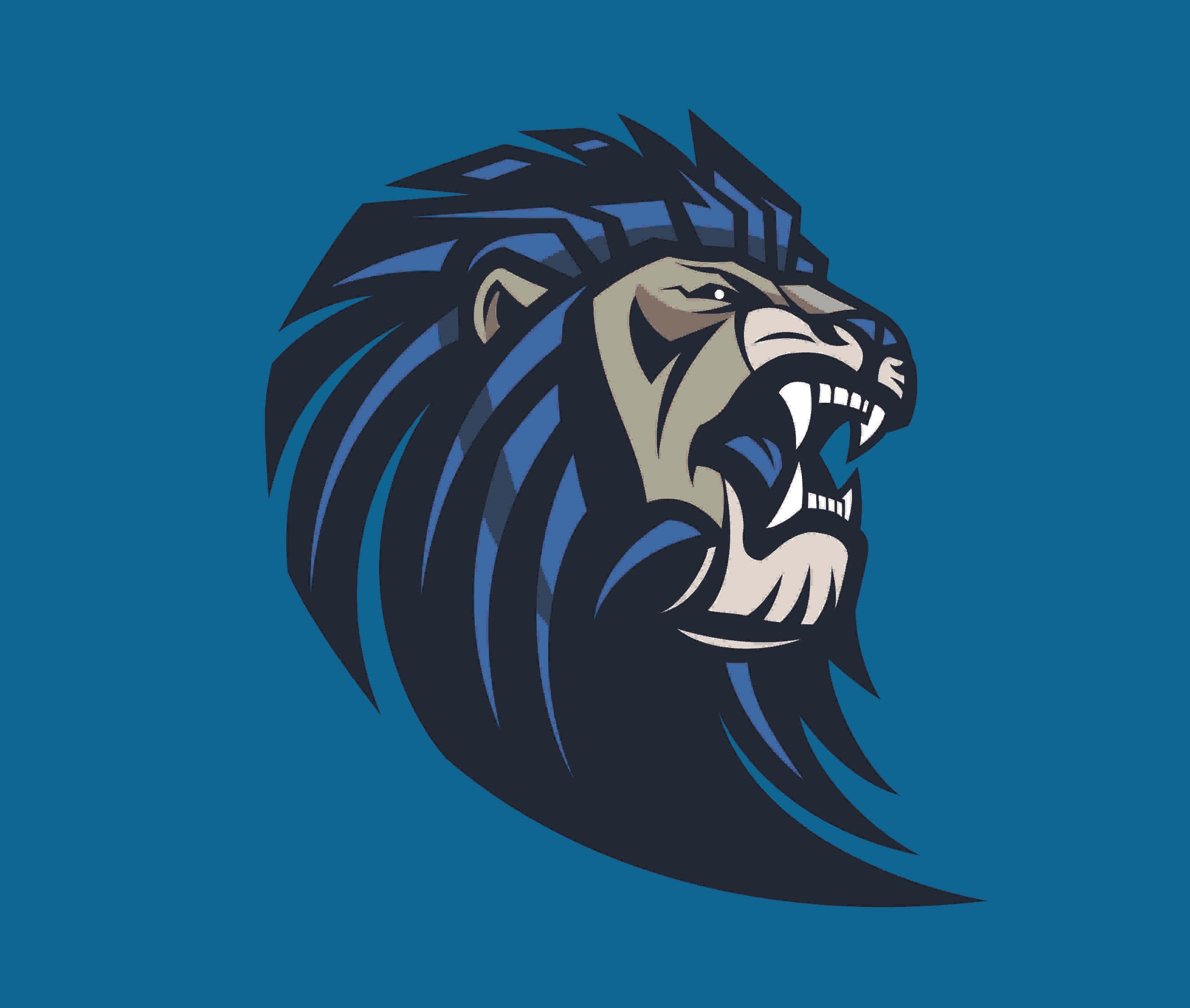 Different variations of the school's logo