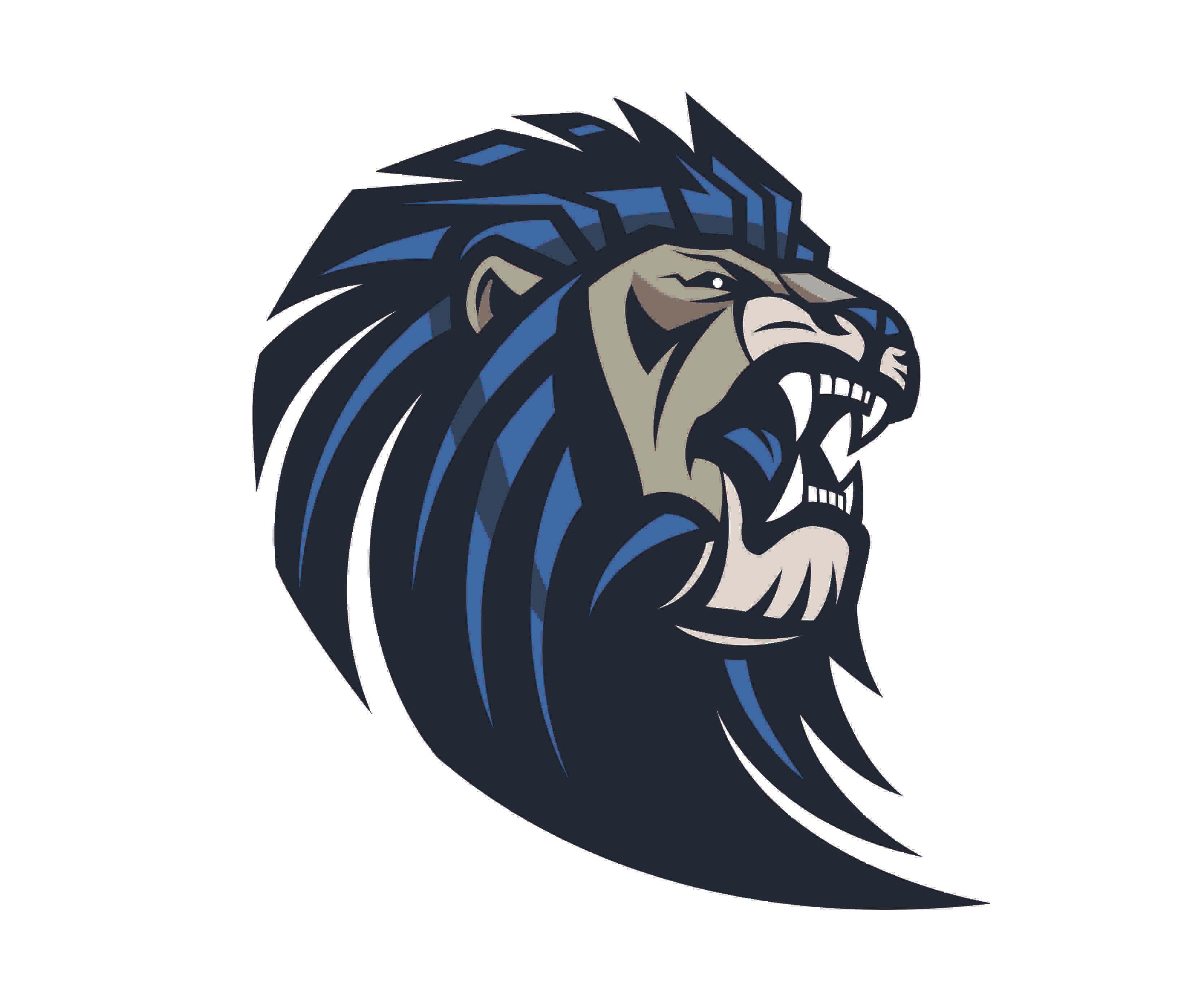 Different variations of the school's logo