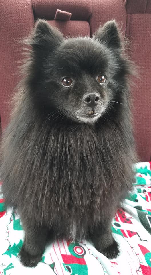 Coco