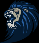 District Logo looking left