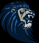 District Logo looking right