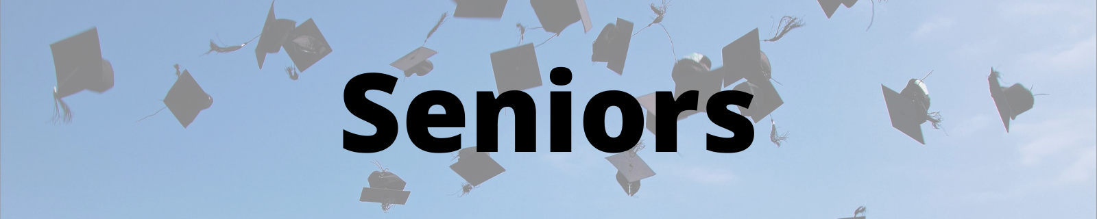 Seniors banner
