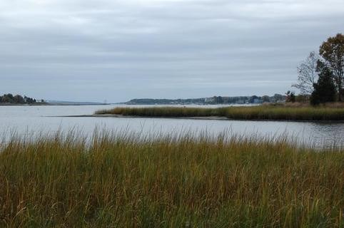 Bay