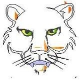 Wildcat