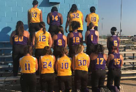 Lady Viking Softball photo