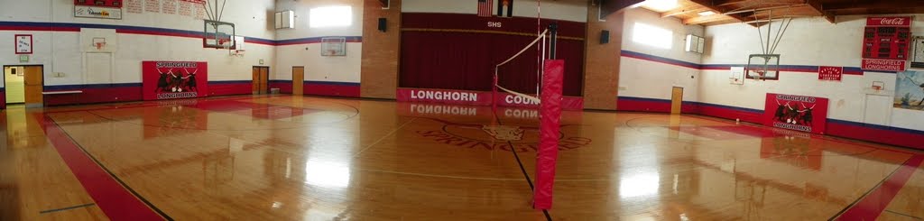volleyball gym photo