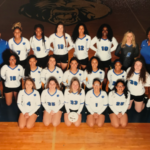 volleyball