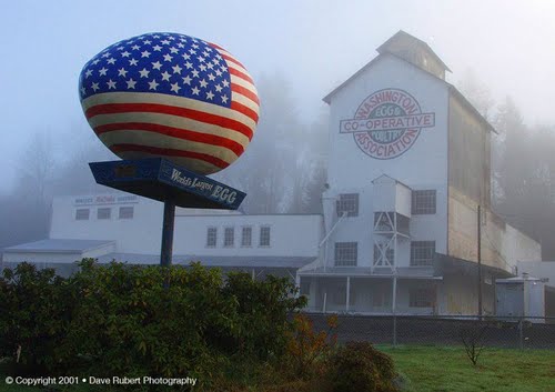 Star Spangled Egg