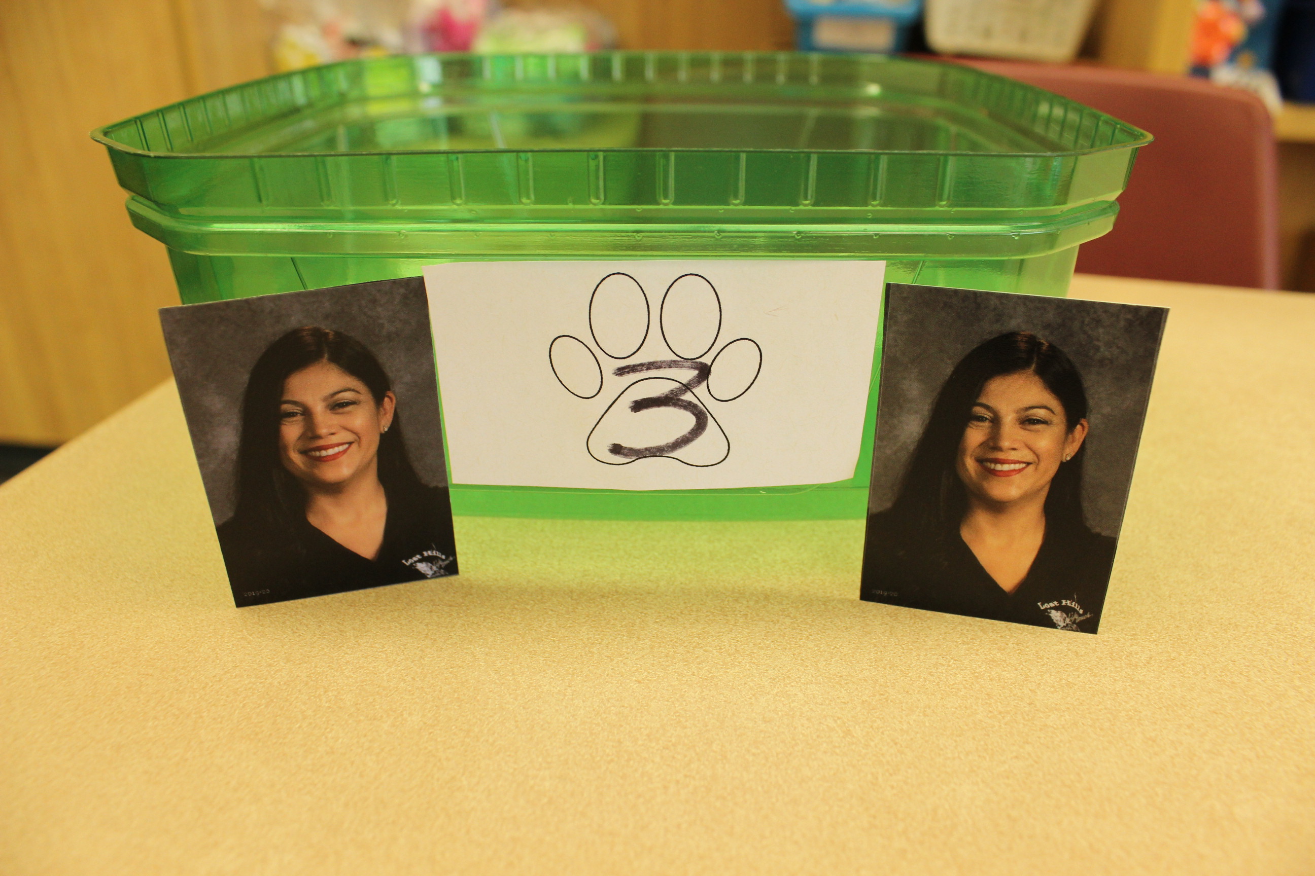 3 Paws Picture of Mrs. Gregory