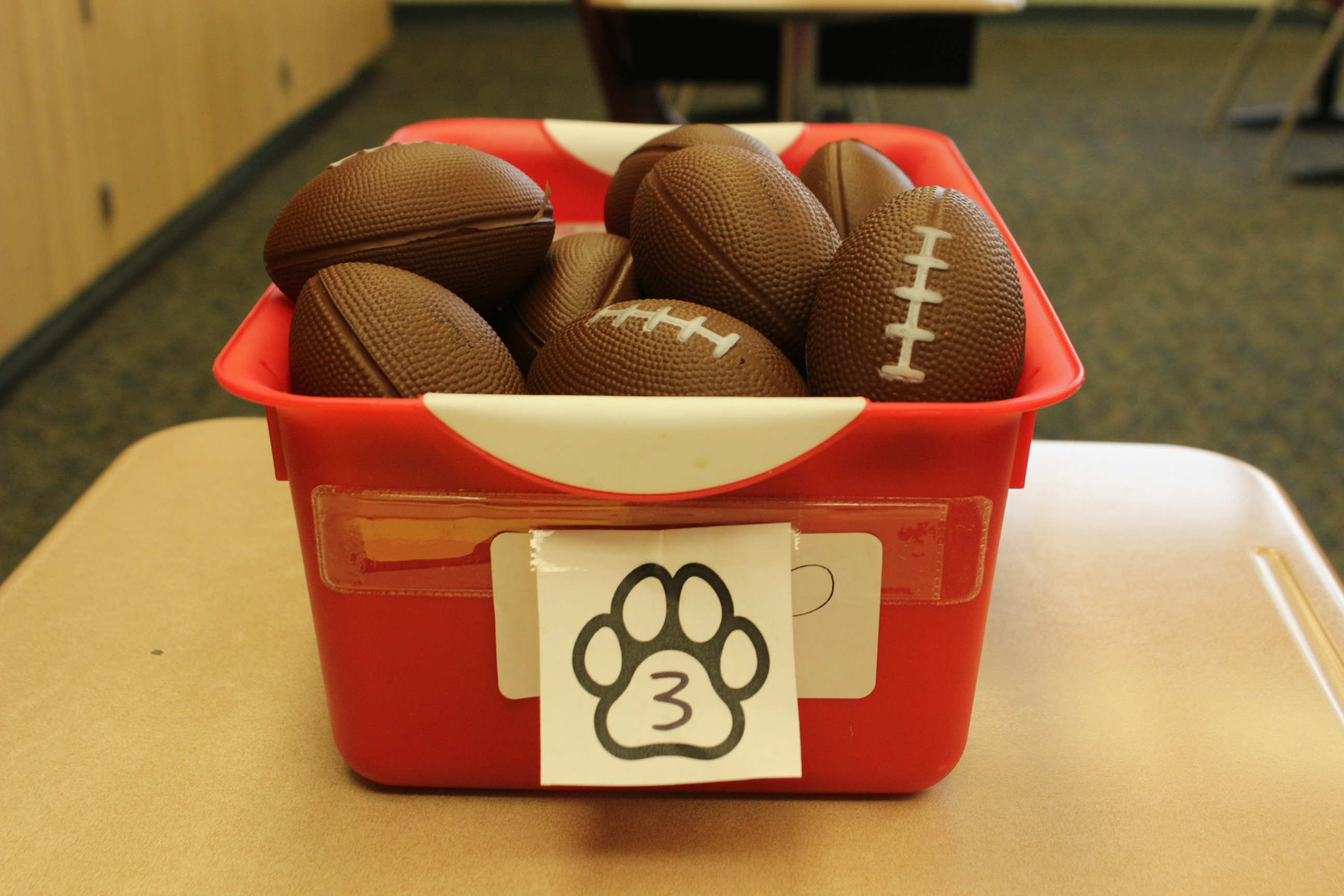 3 Paws Soft Football