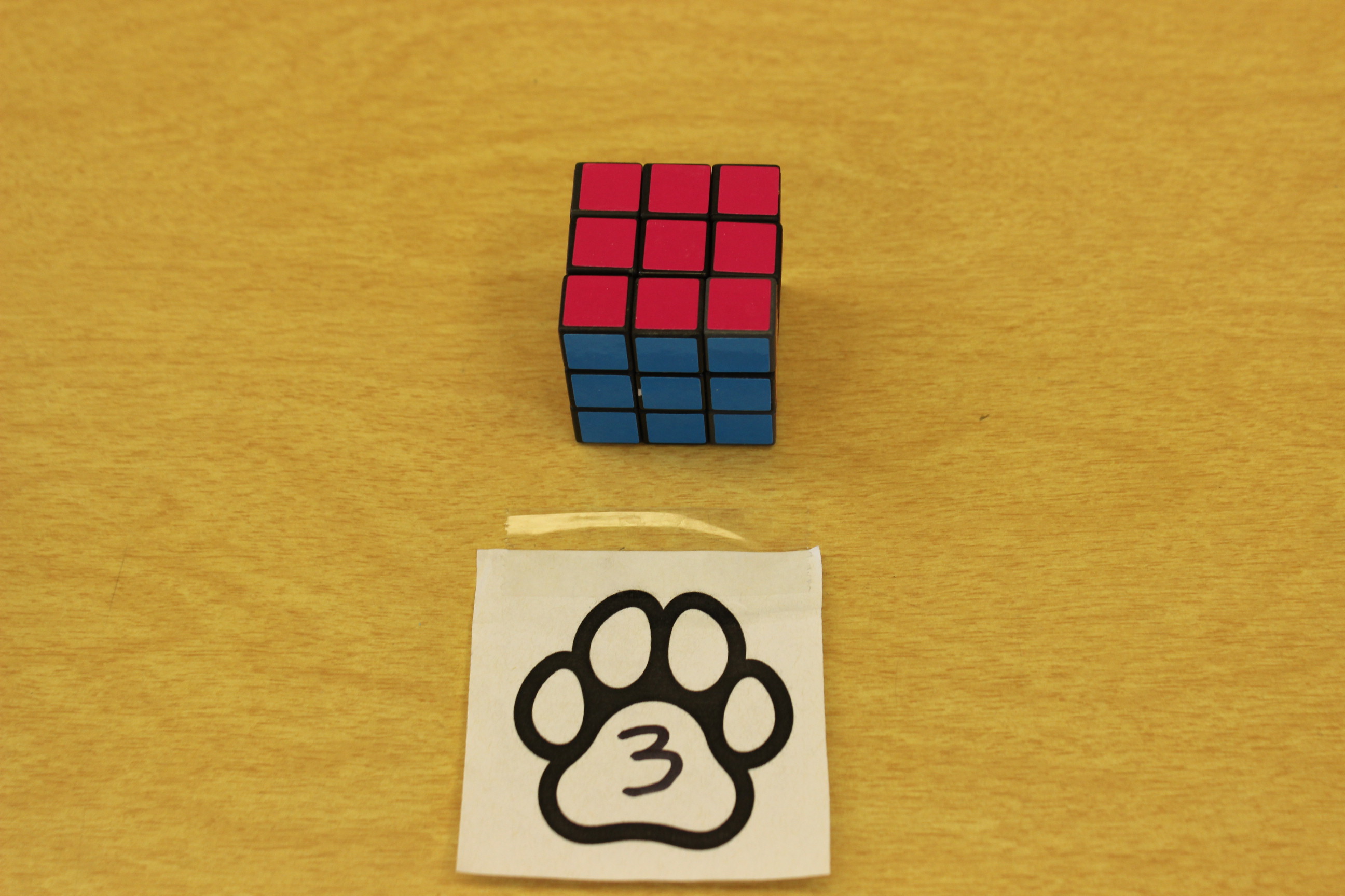 3 Paws Puzzle Cube
