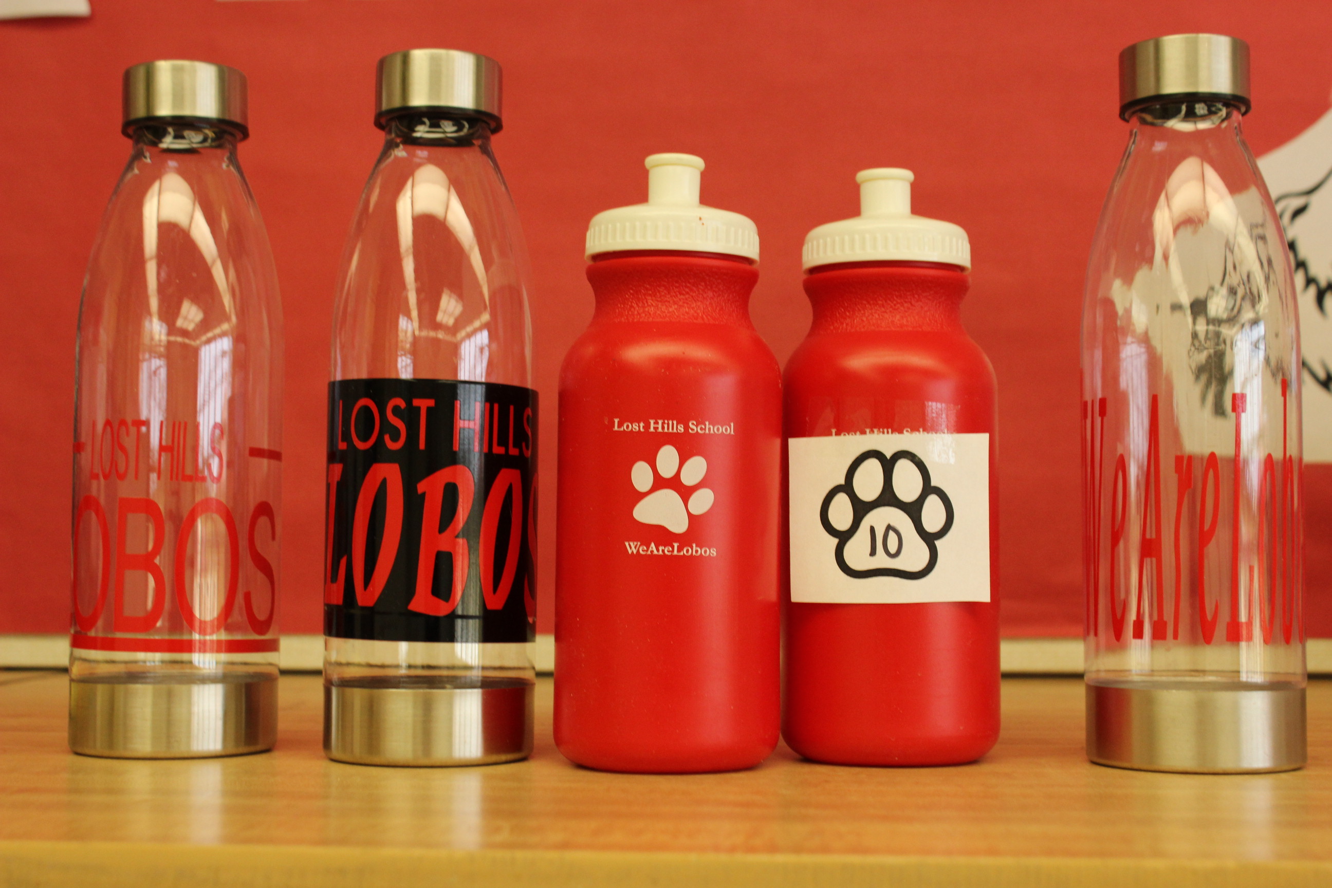 10 Paws Lobo Clear Water Bottle