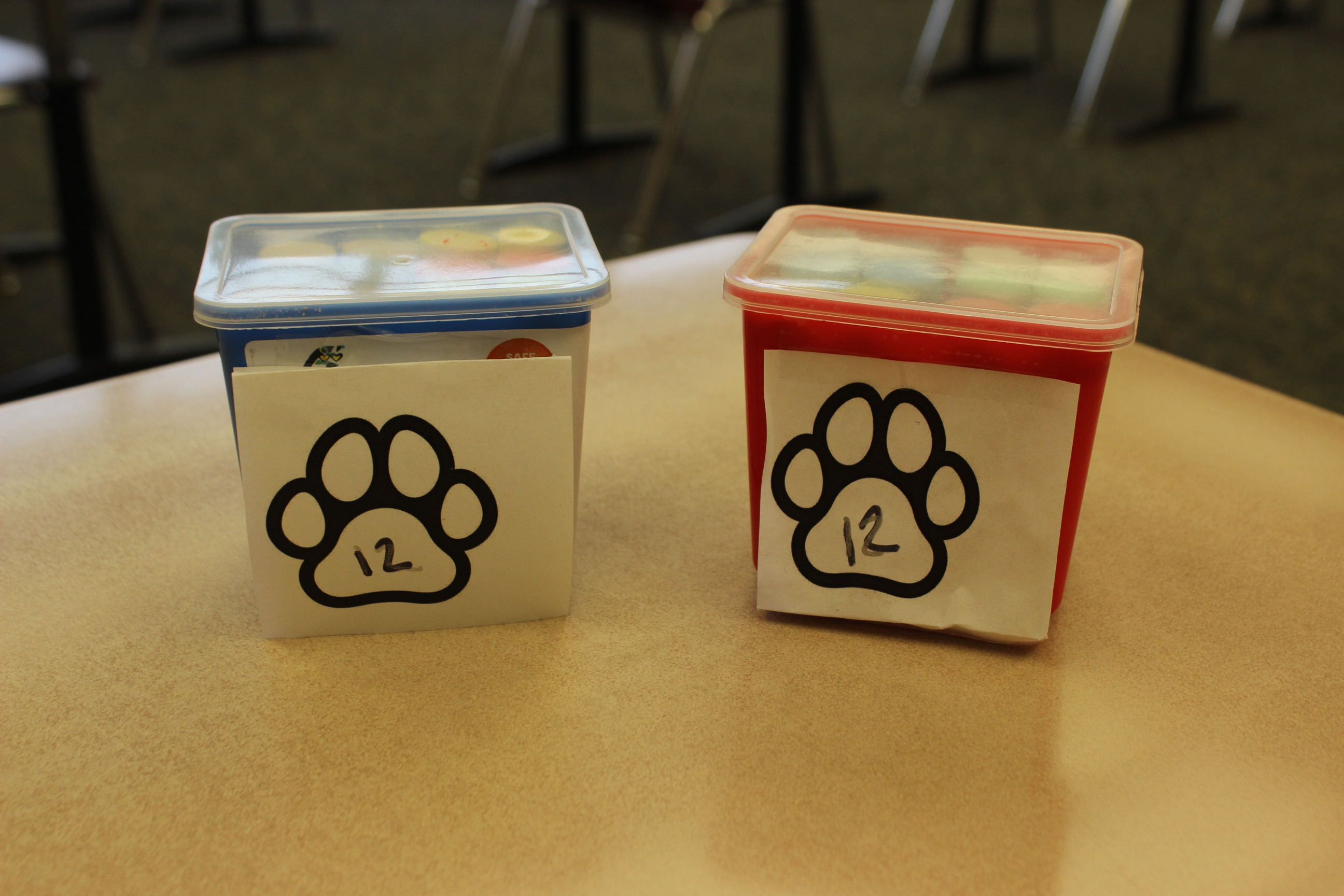 12 Paws Sidewalk Chalk Set