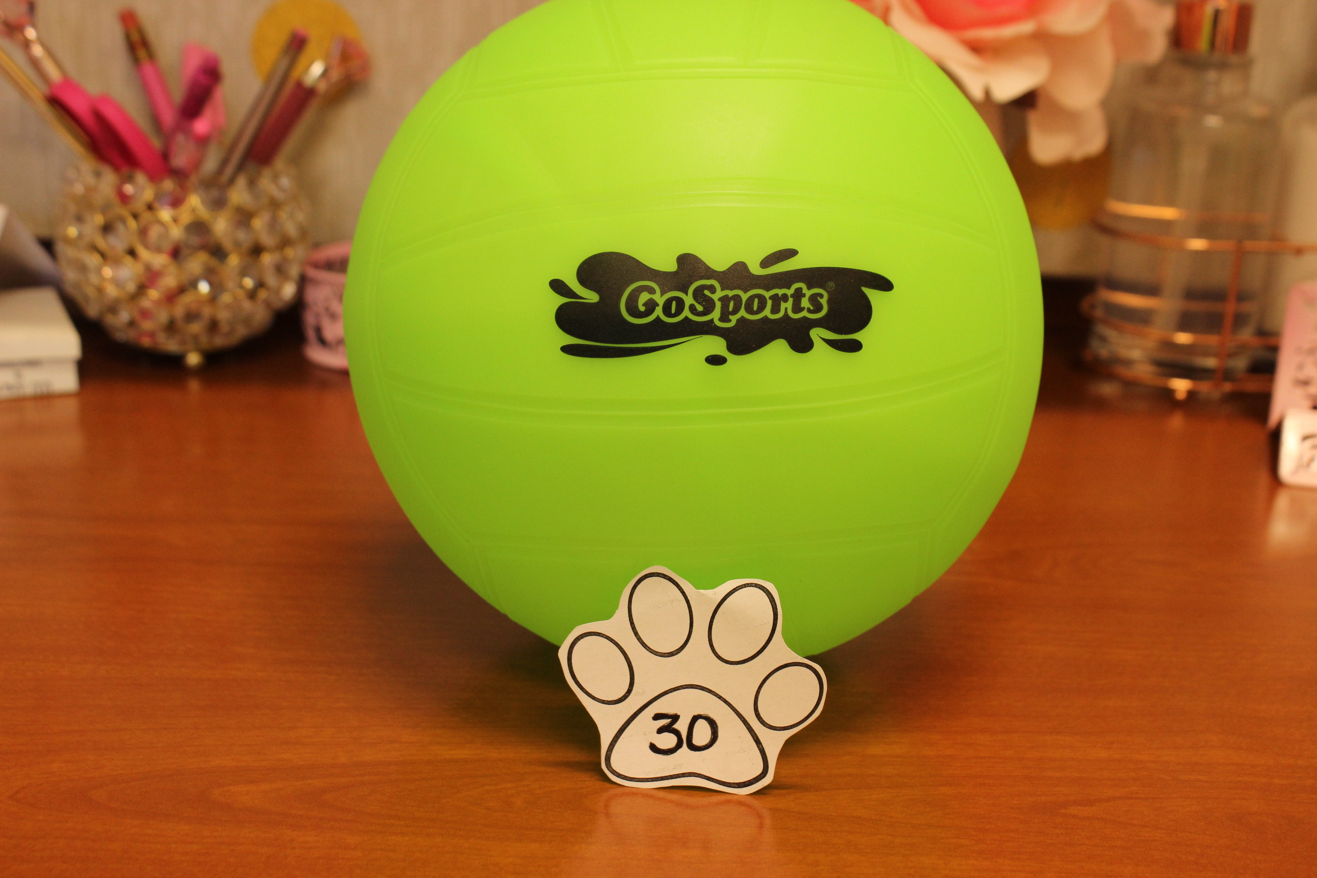 30 Paws Volleyball