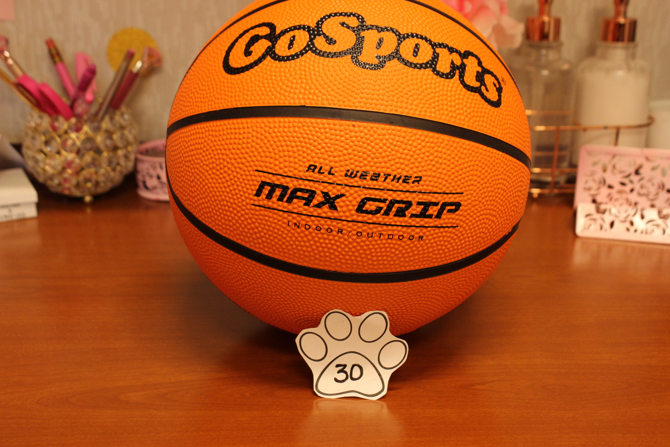 30 Paws Basketball
