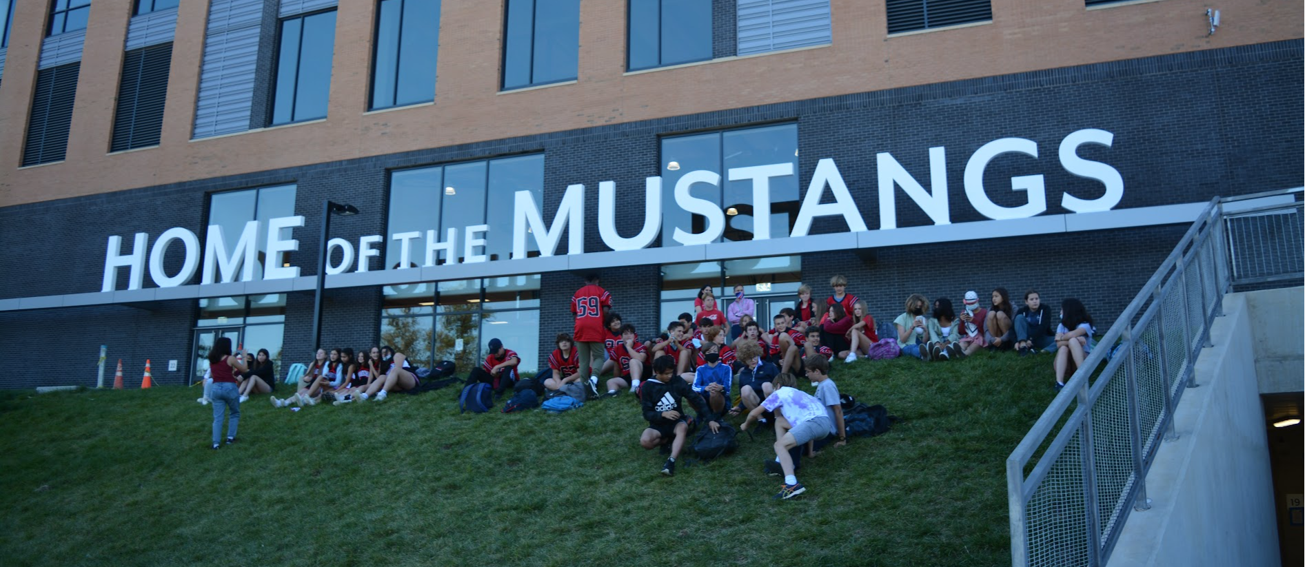 Mustangs
