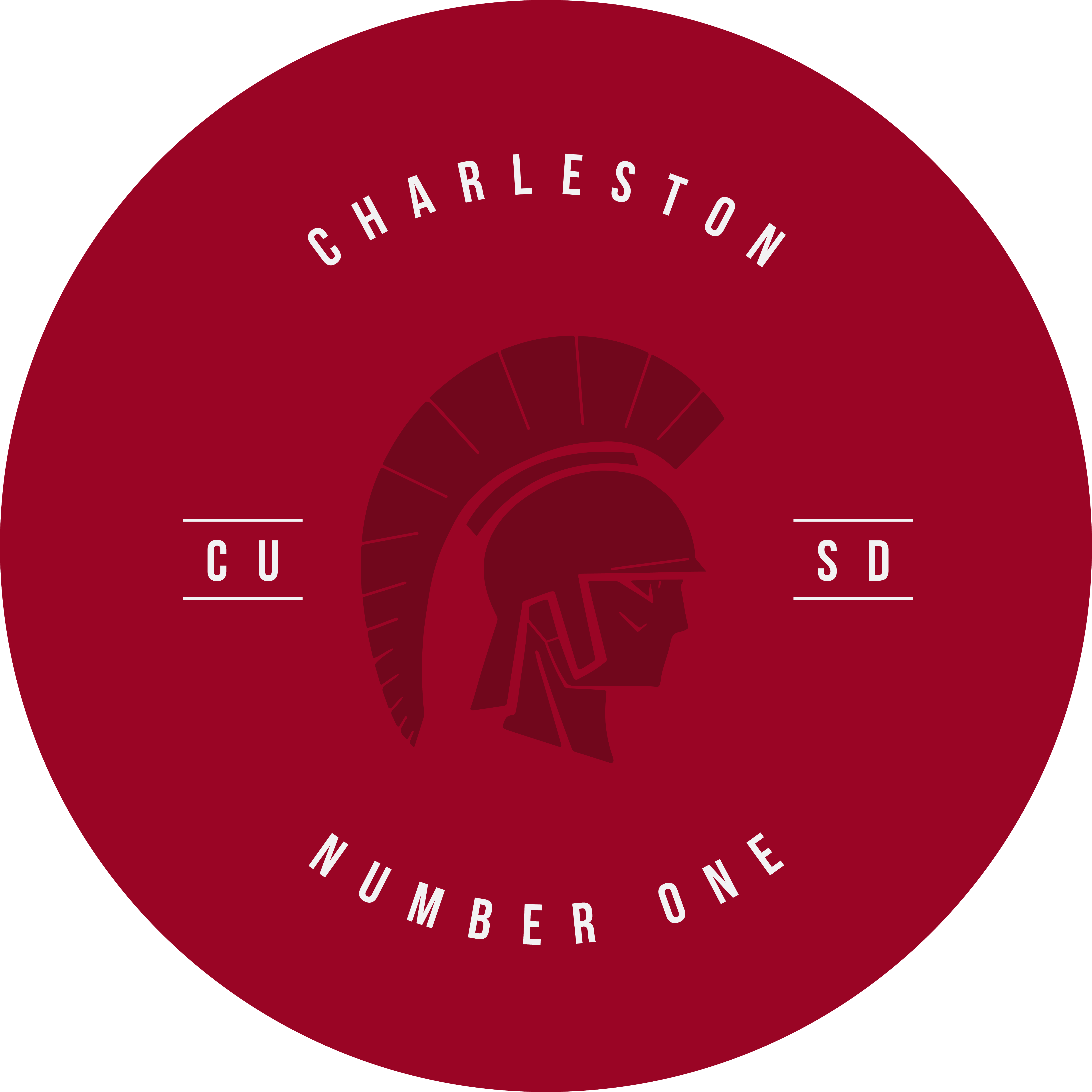 district logo