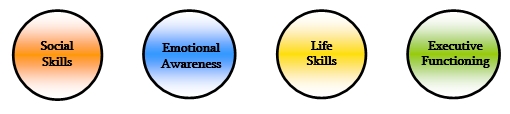 SOCIAL SKILLS, EMOTIONAL AWARENESS, LIFE SKILLS AND EXECUTIVE FUNCTIONING
