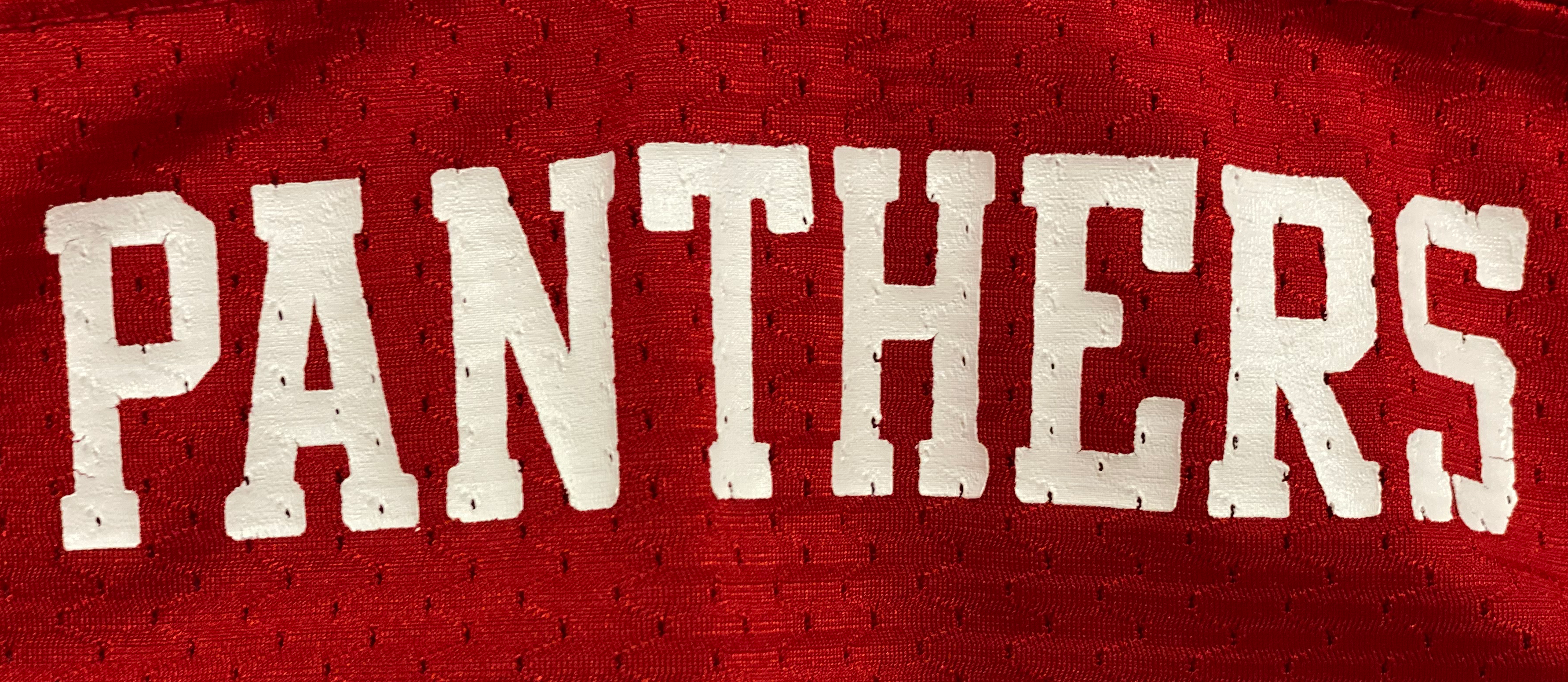 Panthers