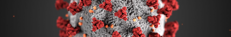 COVID-19 Header