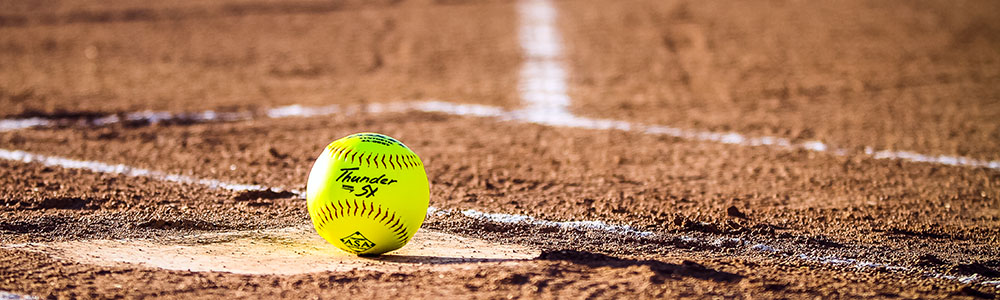 softball stock