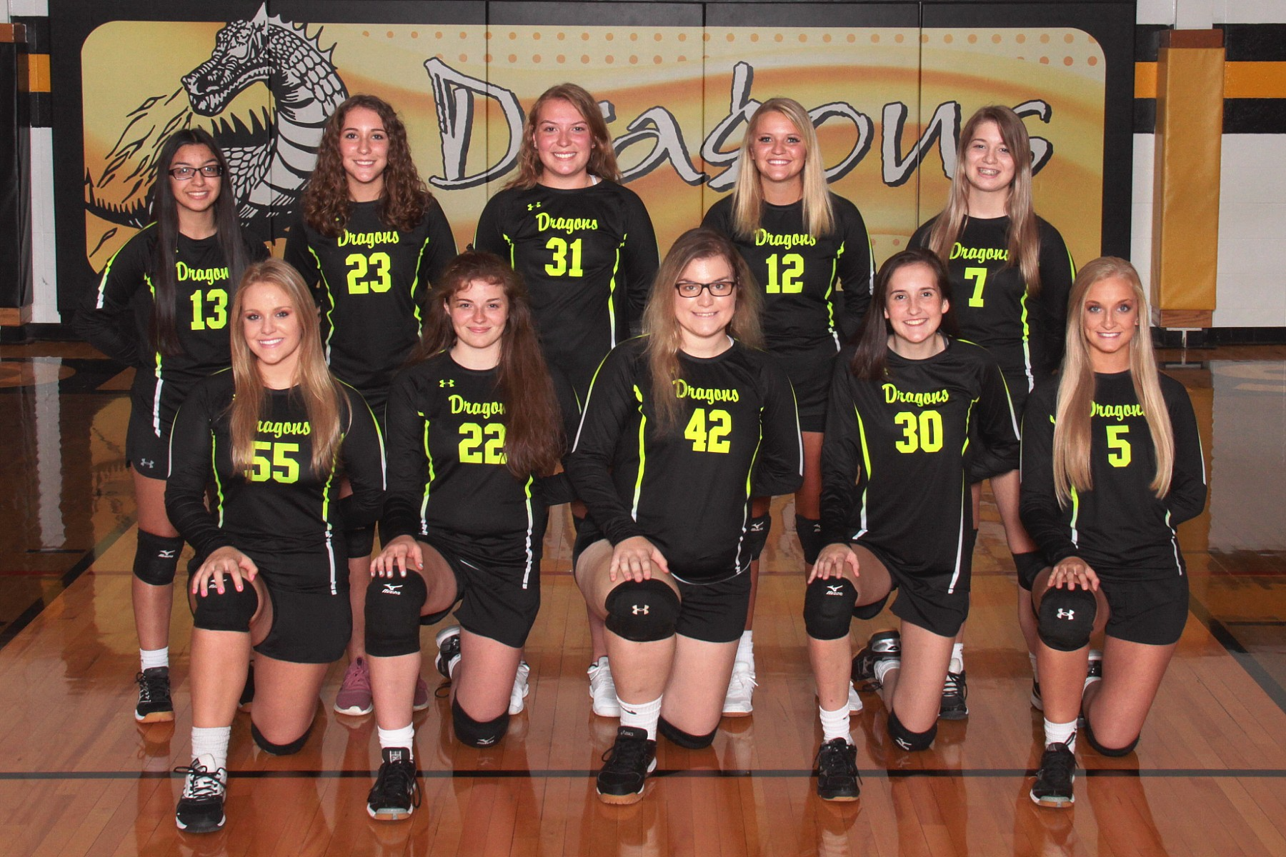 volleyball stock