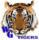 tigers