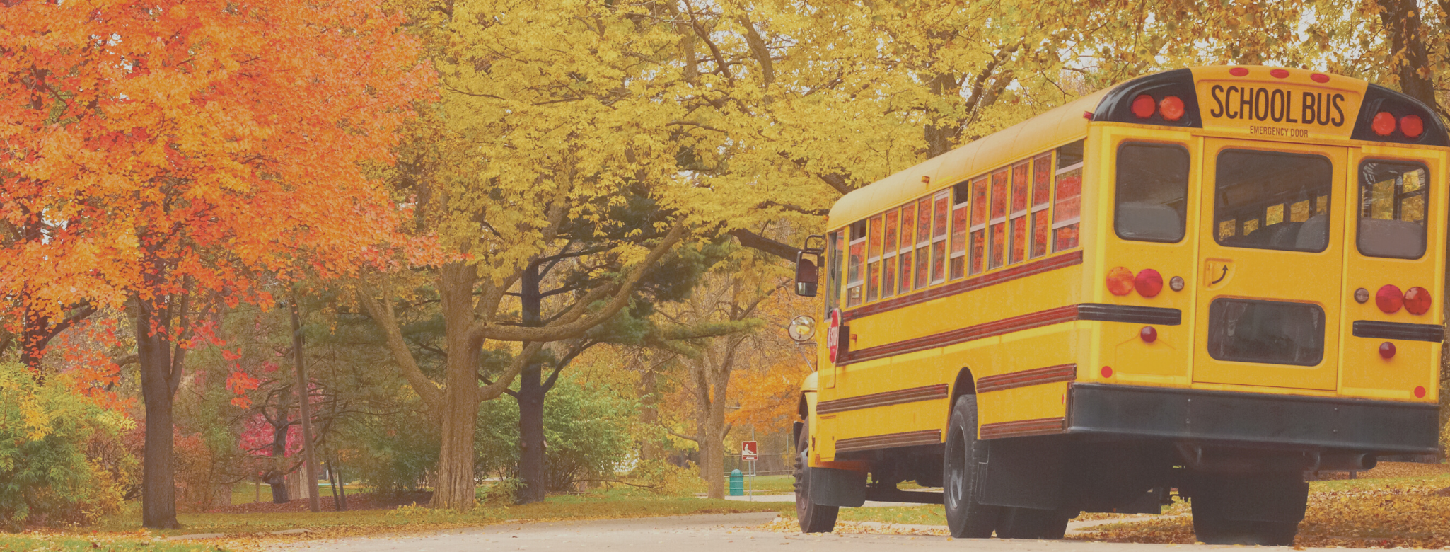 bus