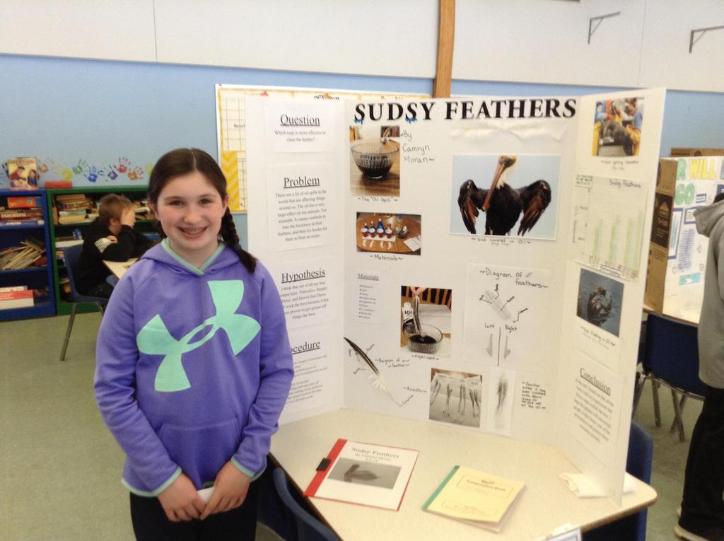Grade 6 Science Fair | Greylock Elementary School