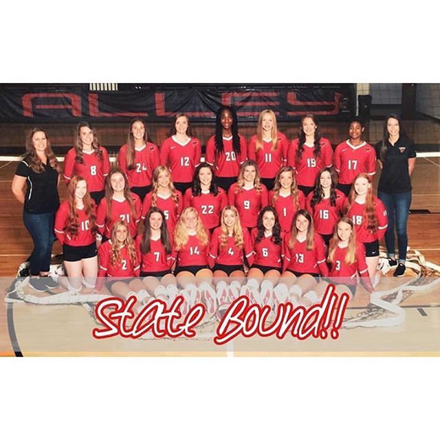 Volleyball Team