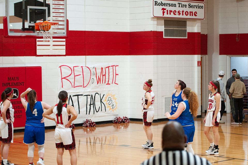 lady cats