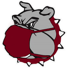 bulldog with mask on