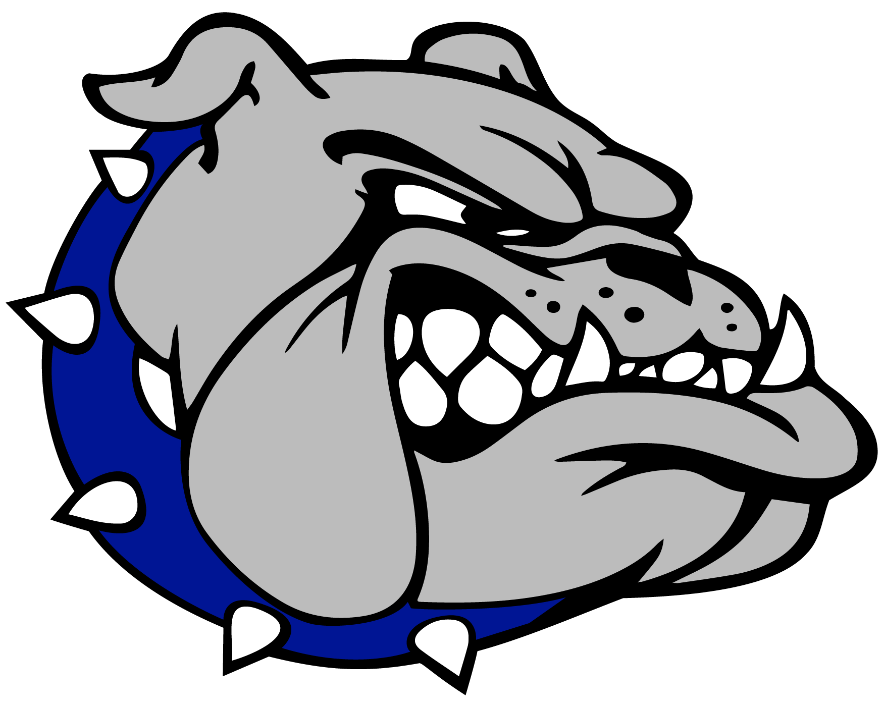 bulldog