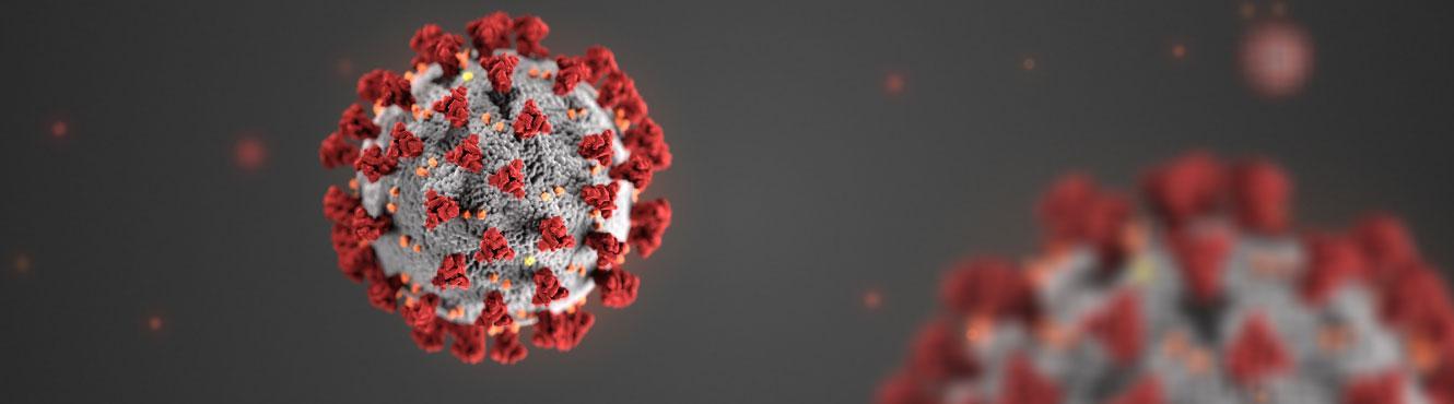 Covid virus