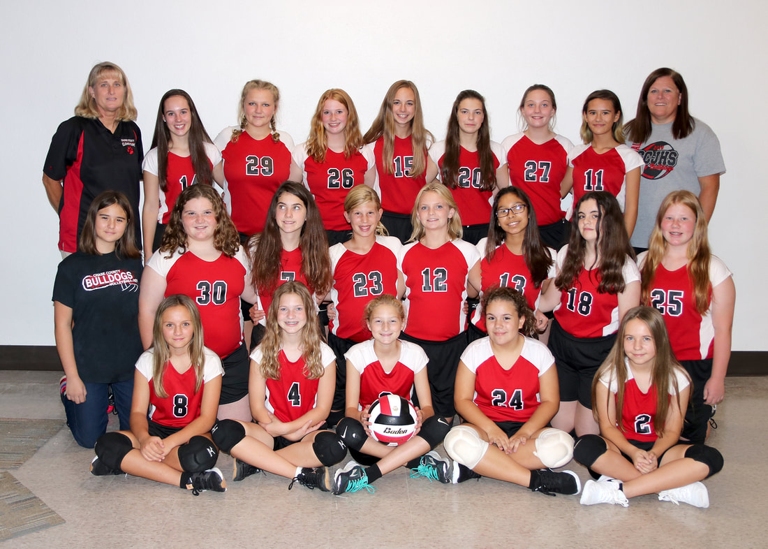 Photo of the JUNIOR HIGH VOLLEYBALL team.
