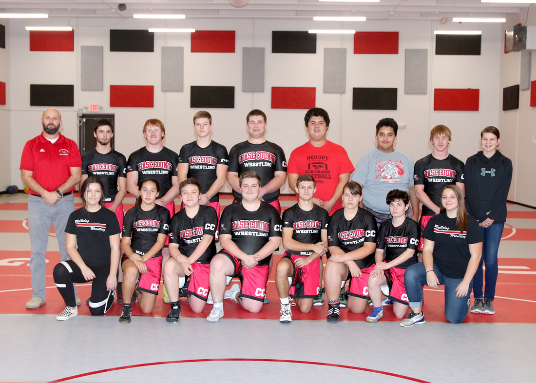Photo of the HIGH SCHOOL WRESTLING team.