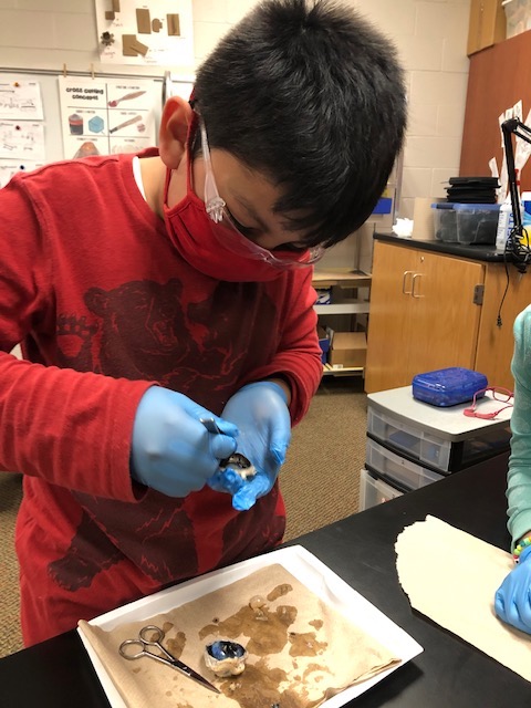 student conducting experiment