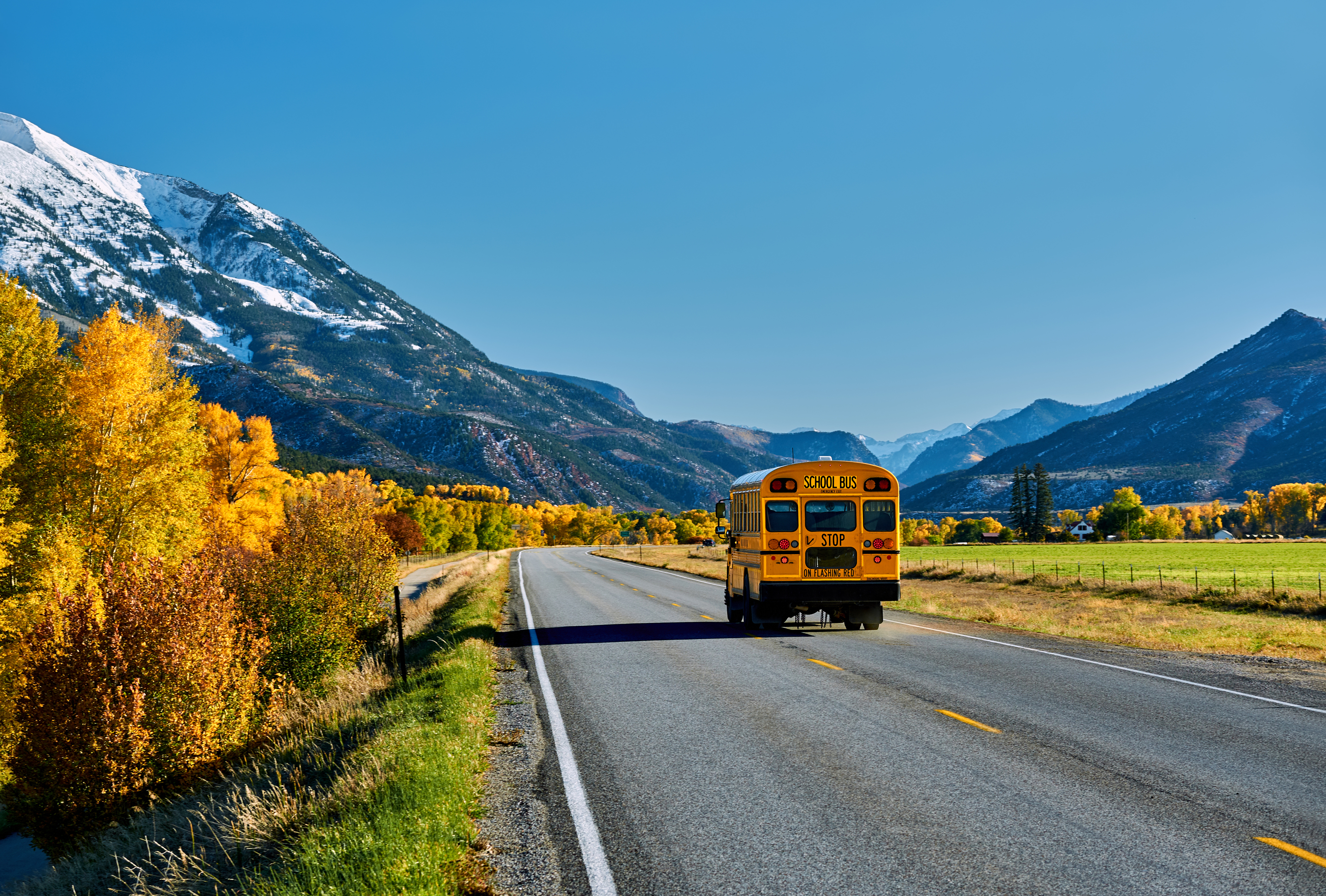 fall bus