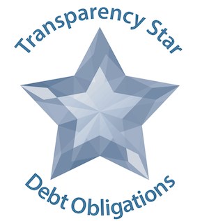 Transparency Star - Debt Obligations