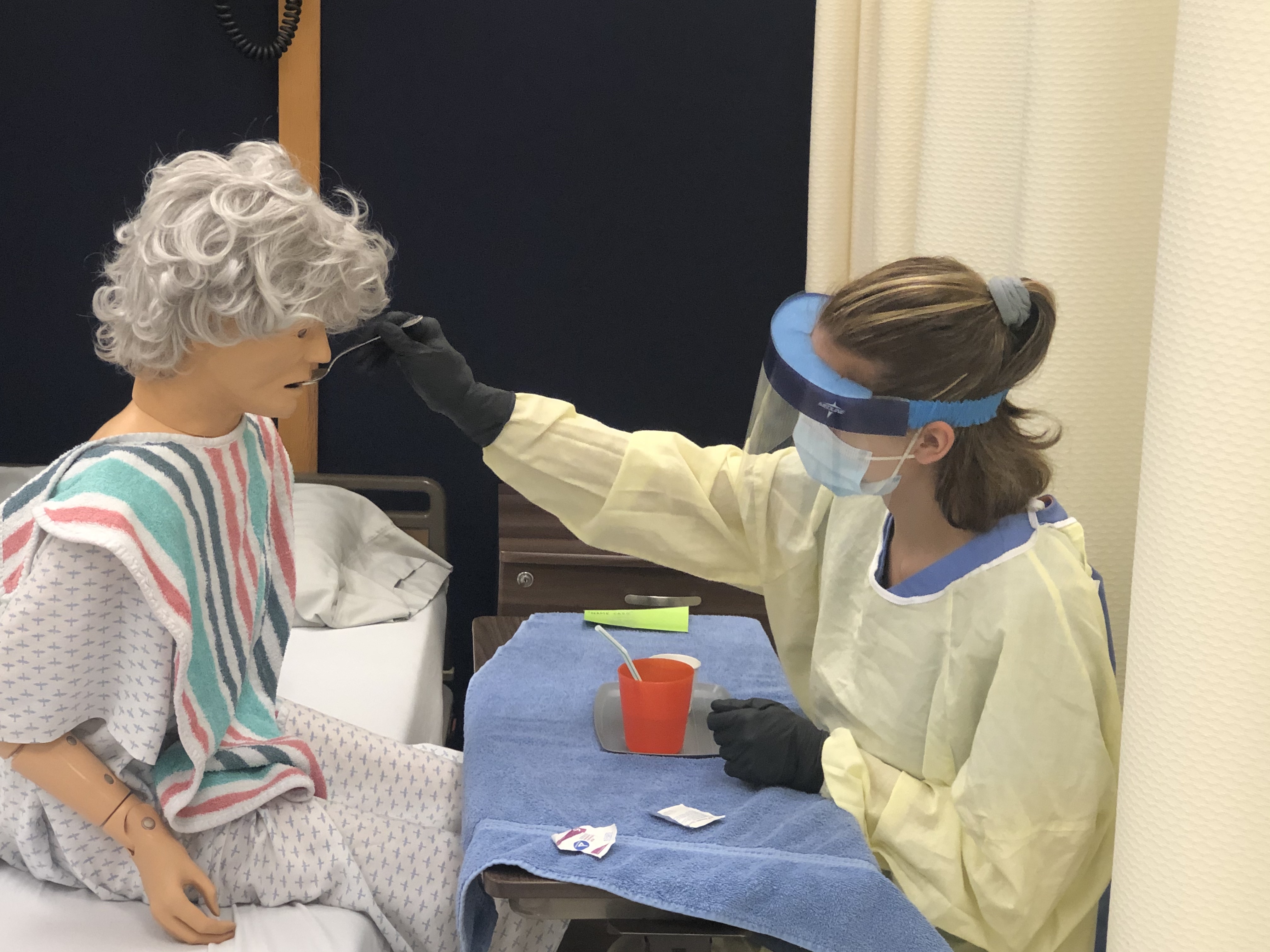 Professional Medical Careers